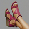 Wine Red / 35