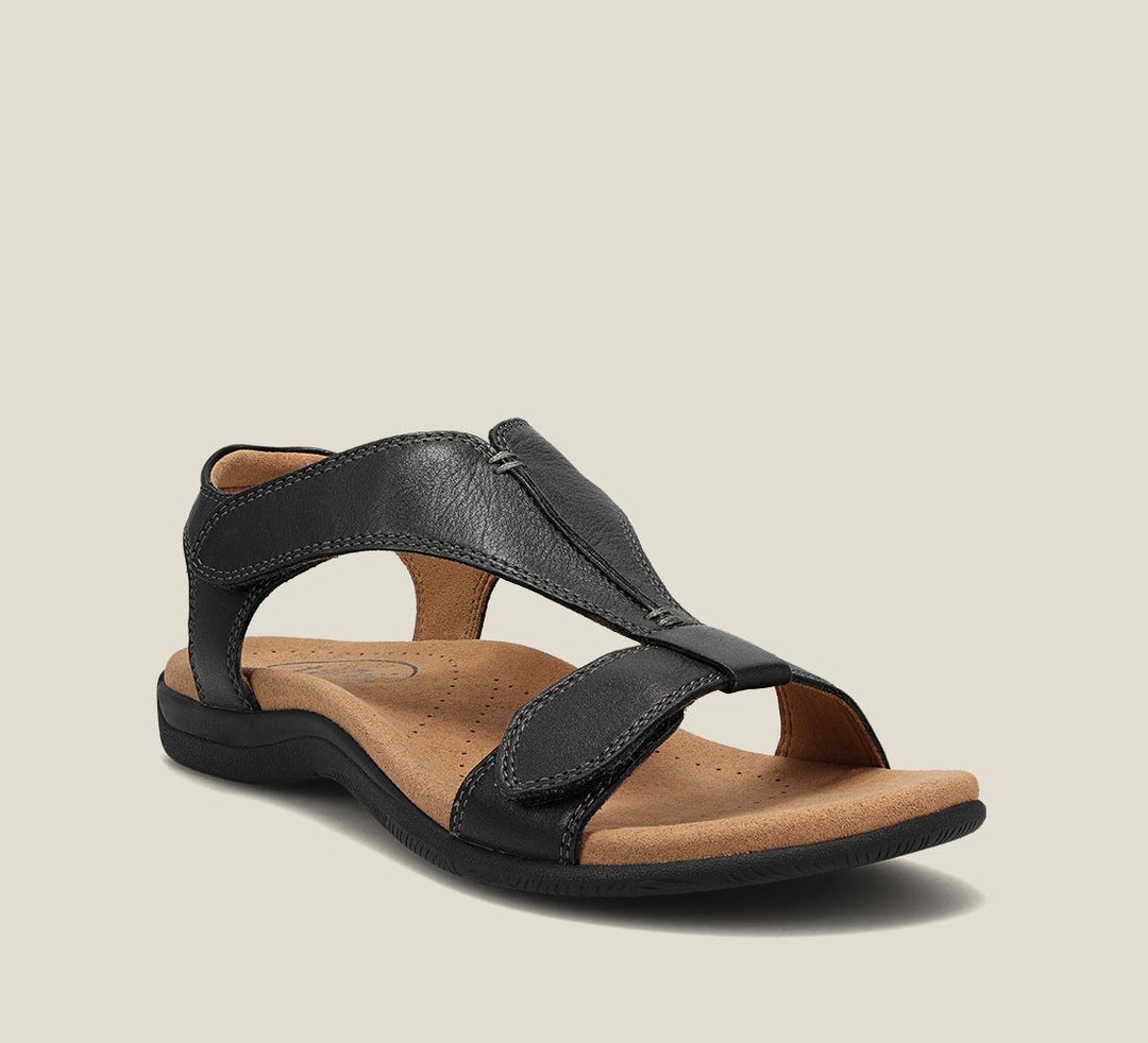 Black / 36