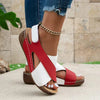 Red and white / 36