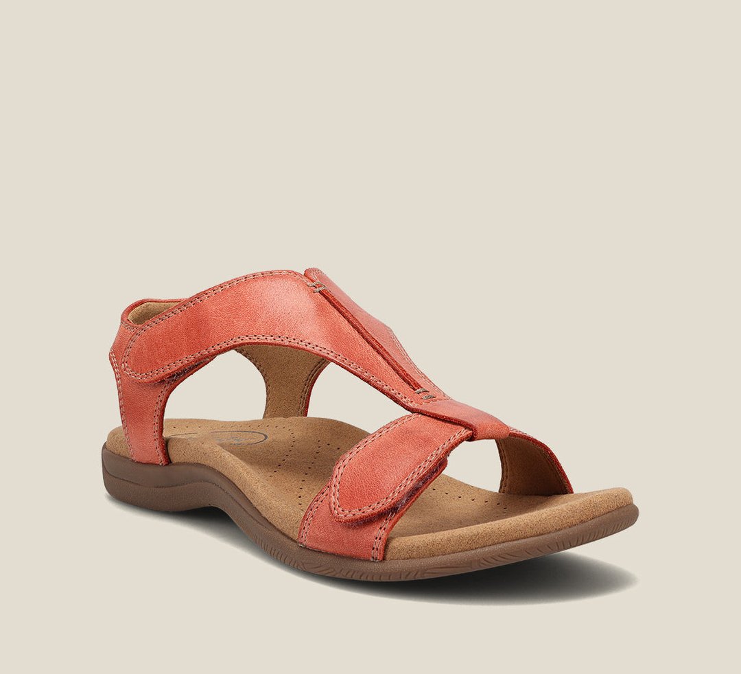 Orange / 36