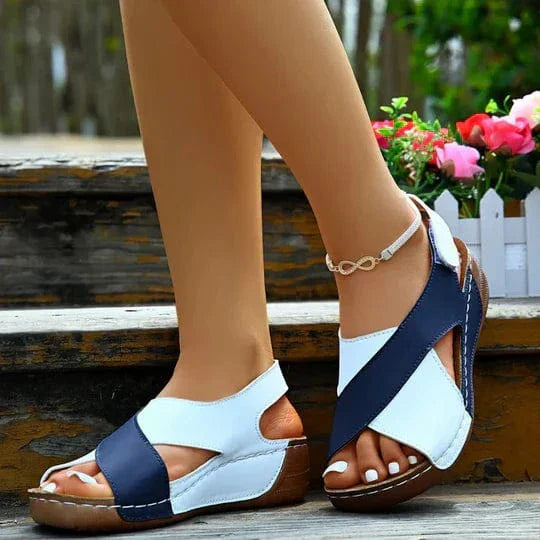 Blue and white / 36